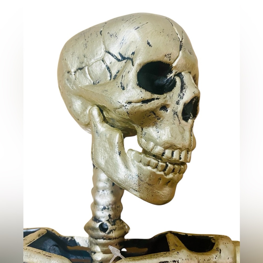 Hyde and EEK! 36" Posable Skeleton Halloween Decorative Prop - Picture 7 of 9